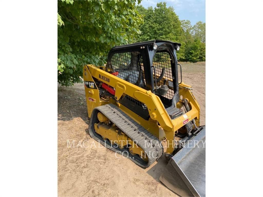 CAT 239D Pale cingolate