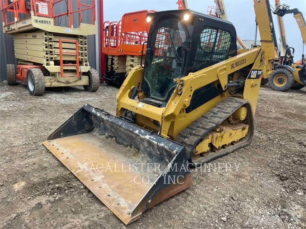 CAT 239D Pale cingolate