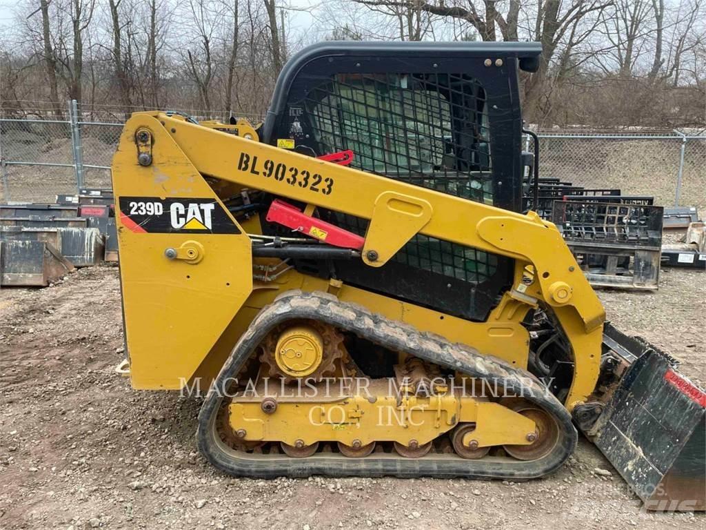 CAT 239D Pale cingolate