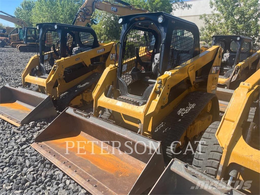 CAT 239D Pale cingolate
