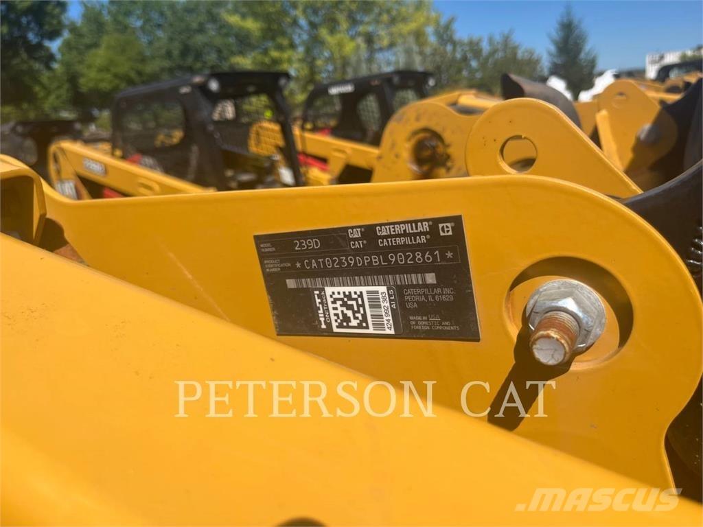 CAT 239D Pale cingolate