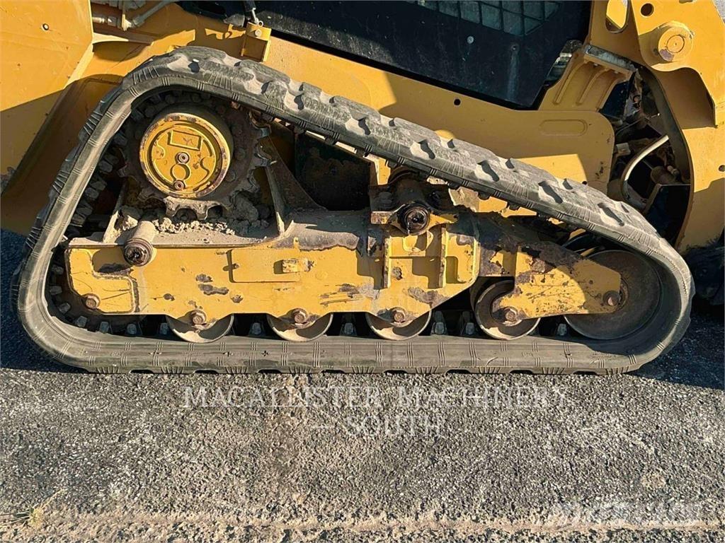CAT 239D Pale cingolate