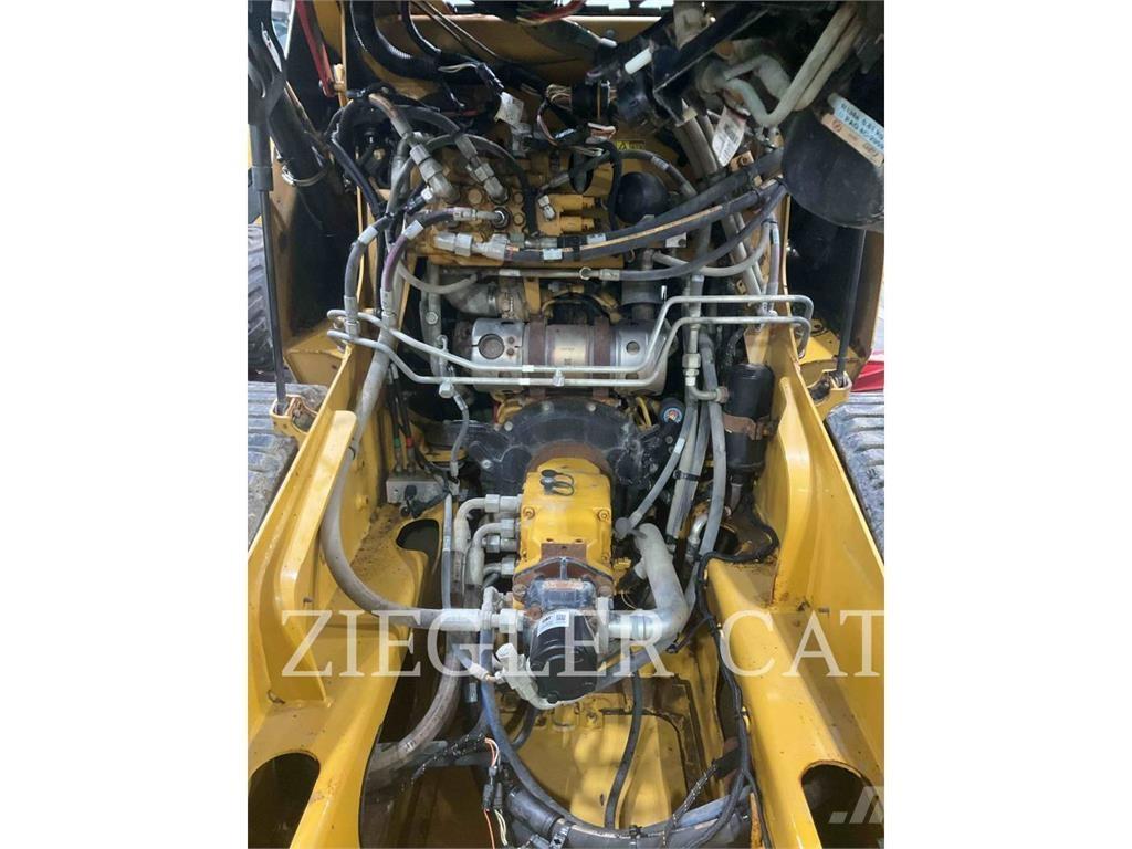 CAT 239D Pale cingolate