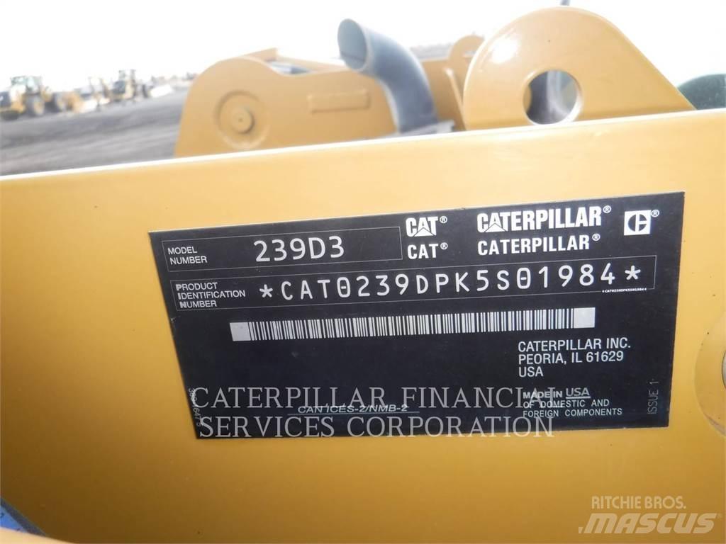 CAT 239D3 Pale cingolate