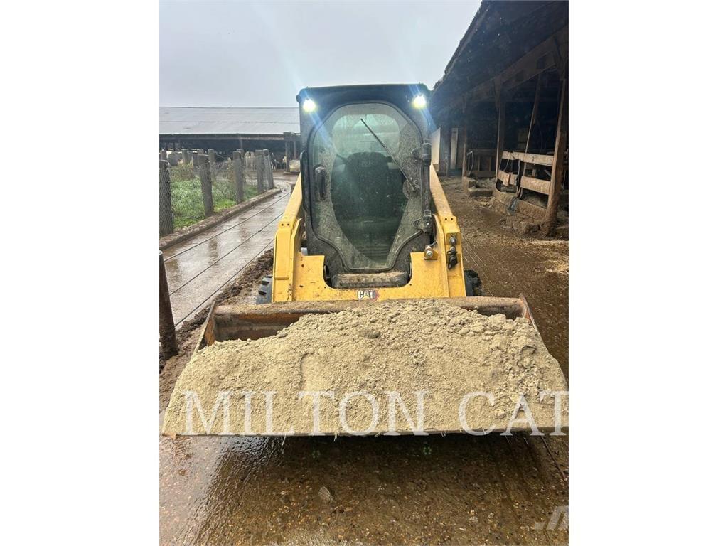 CAT 242D3 Mini Pale Gommate