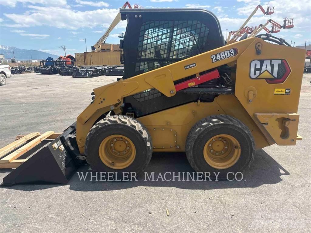 CAT 246D3 C3H2 Mini Pale Gommate