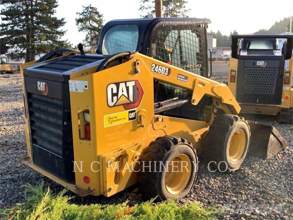 CAT 246D3 H3CB Mini Pale Gommate