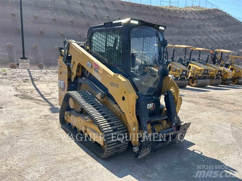 CAT 255 Pale cingolate