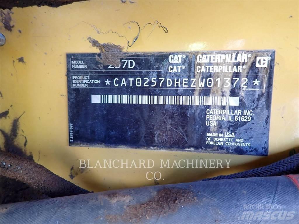 CAT 257D Pale cingolate