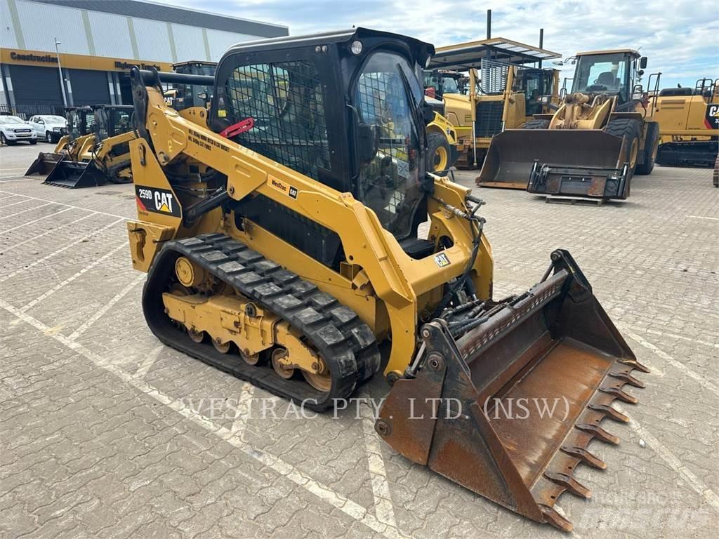 CAT 259D Pale cingolate