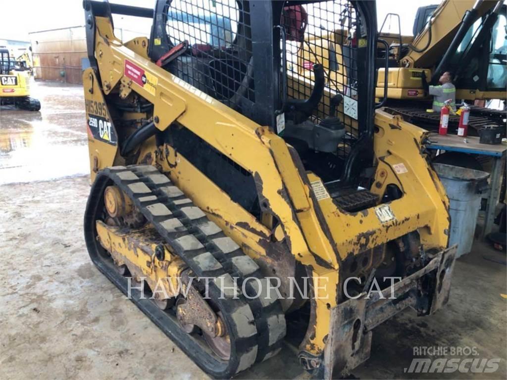 CAT 259D Pale cingolate