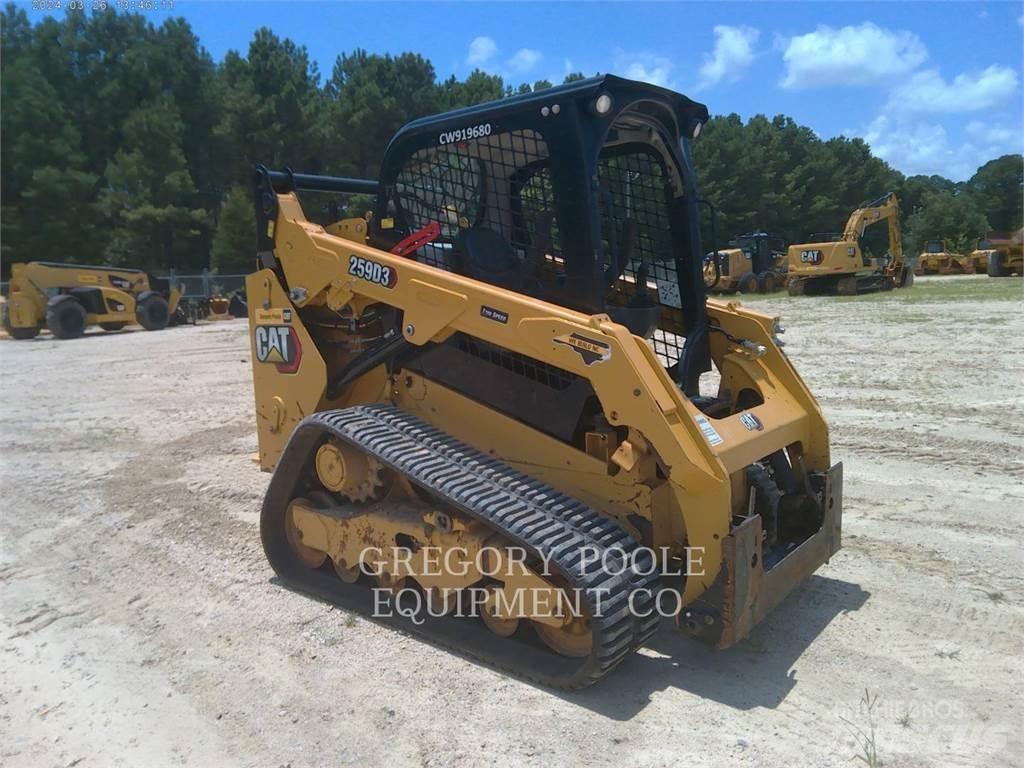 CAT 259D3 Pale cingolate