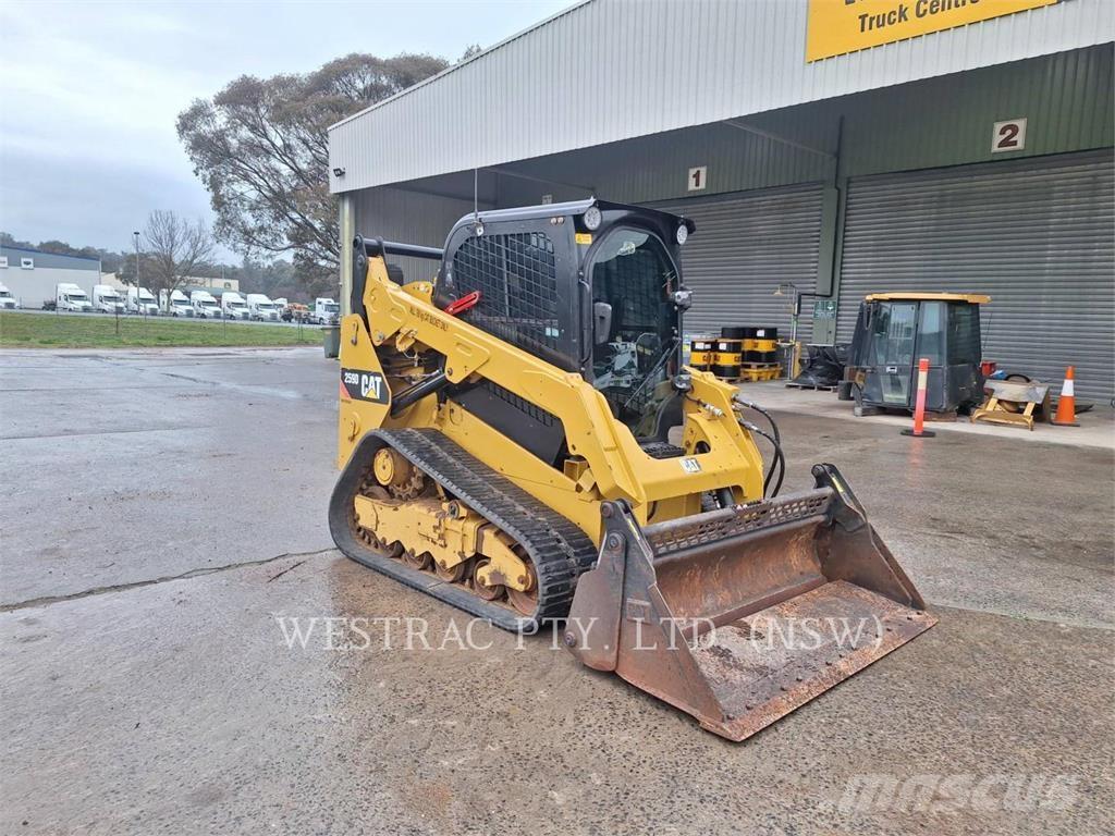 CAT 259DLRC Pale cingolate