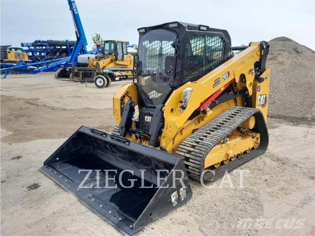 CAT 265 Pale cingolate