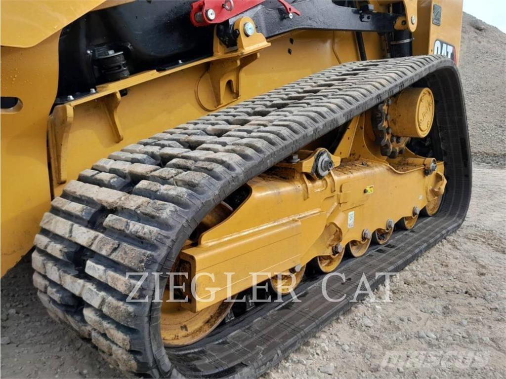 CAT 265 Pale cingolate