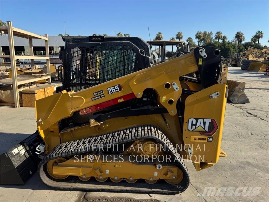 CAT 265-05 Pale cingolate