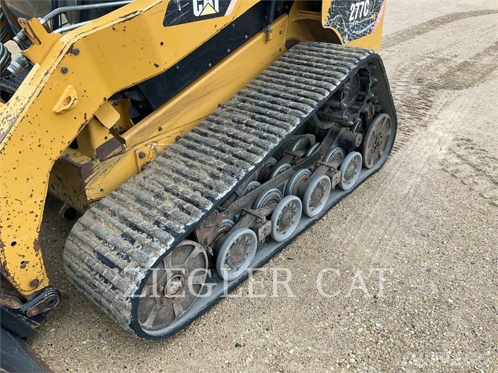 CAT 277C2 Pale cingolate