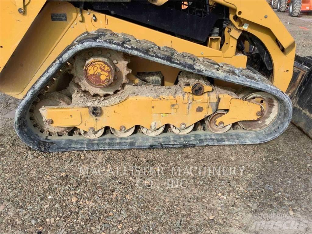 CAT 279D Pale cingolate