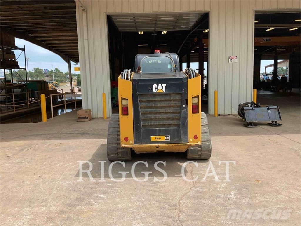 CAT 279D Pale cingolate
