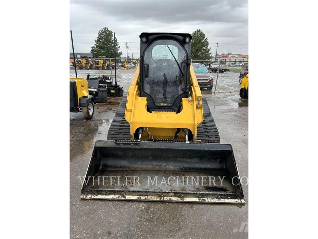 CAT 279D3 C3HF Pale cingolate