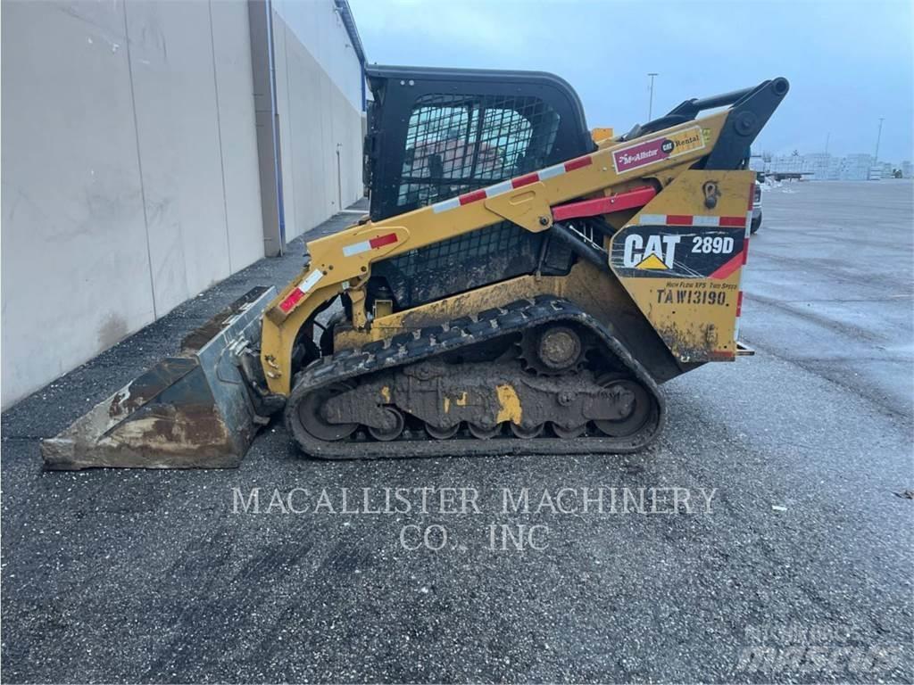 CAT 289D Pale cingolate
