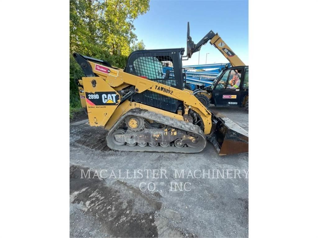 CAT 289D Pale cingolate