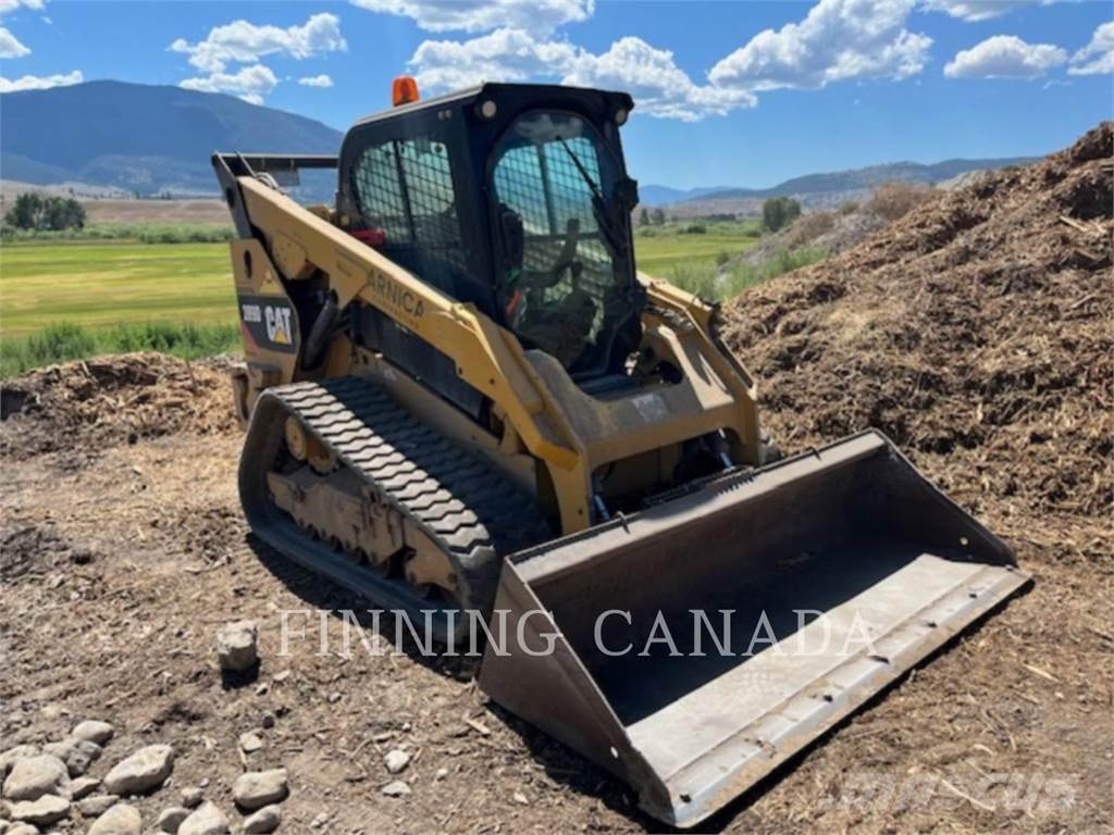 CAT 289D Pale cingolate