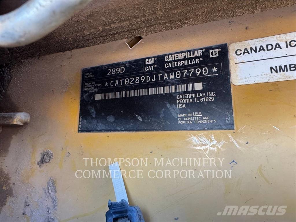 CAT 289D Pale cingolate