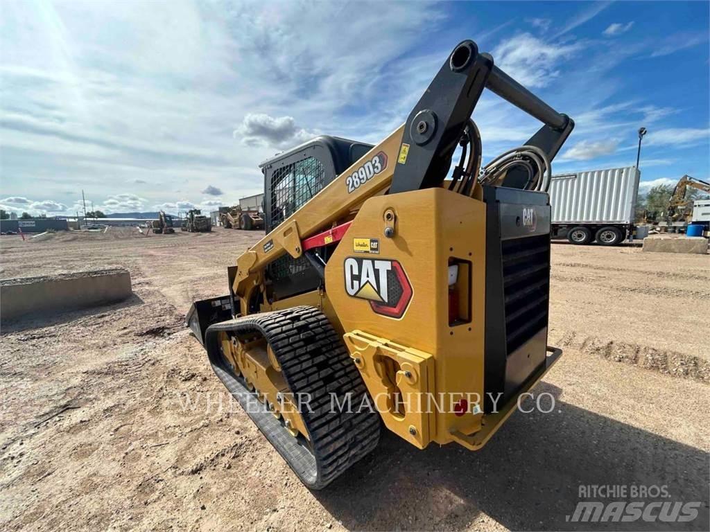 CAT 289D3 C3HF Pale cingolate