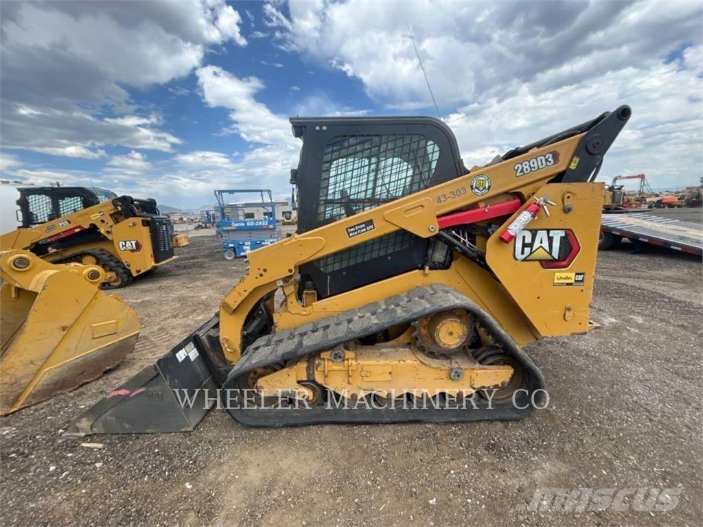 CAT 289D3 C3HF Pale cingolate