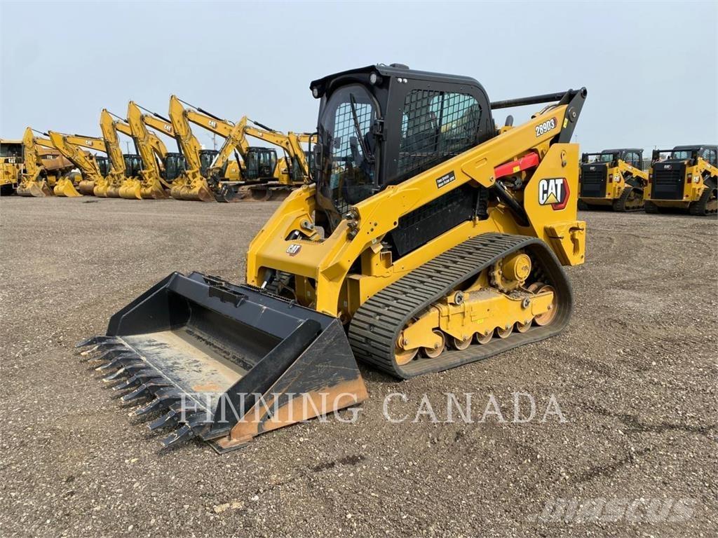 CAT 289D3 HF Pale cingolate