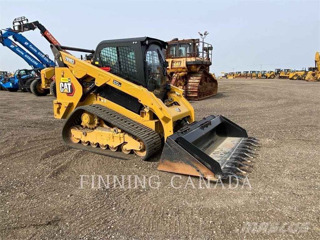 CAT 289D3 HF Pale cingolate