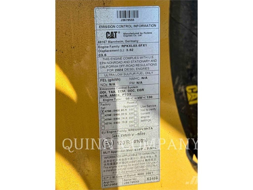 CAT 41607 Terne