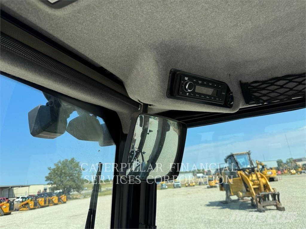CAT 42007 Terne