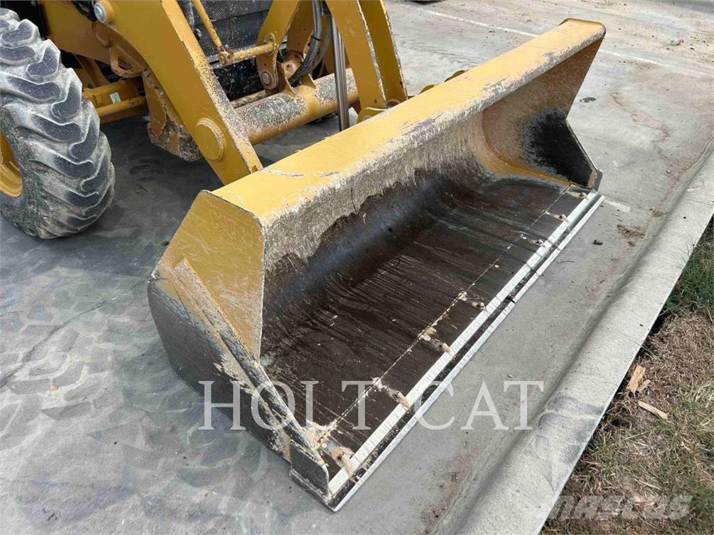 CAT 42007 Terne