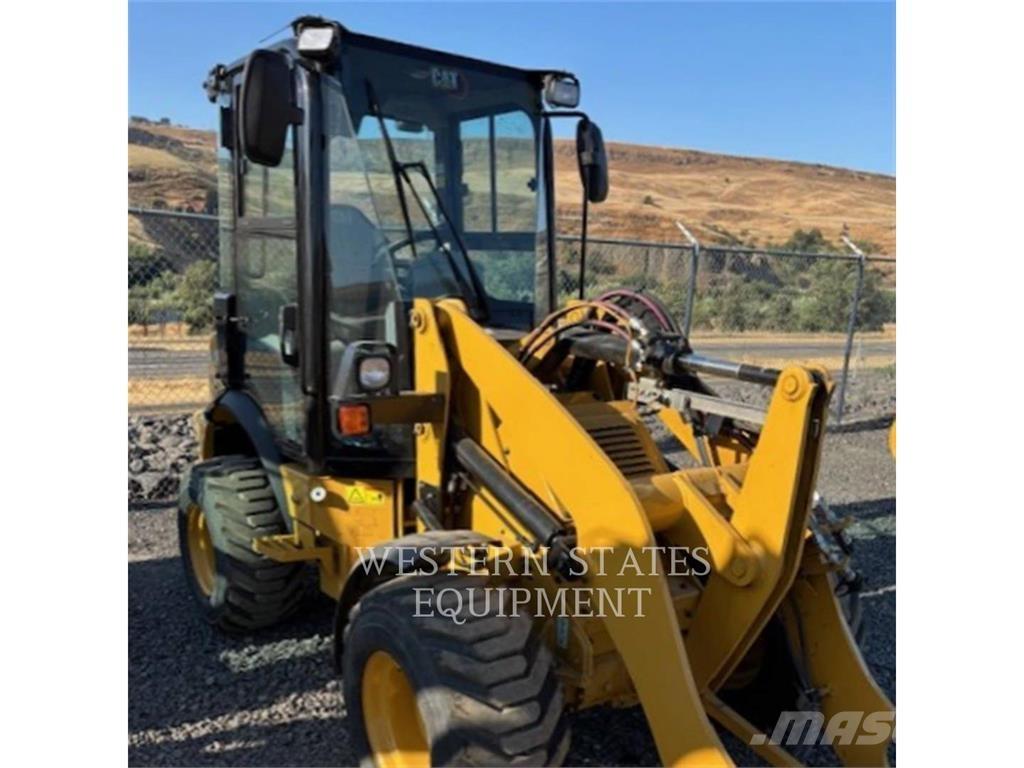 CAT 903 Pale gommate