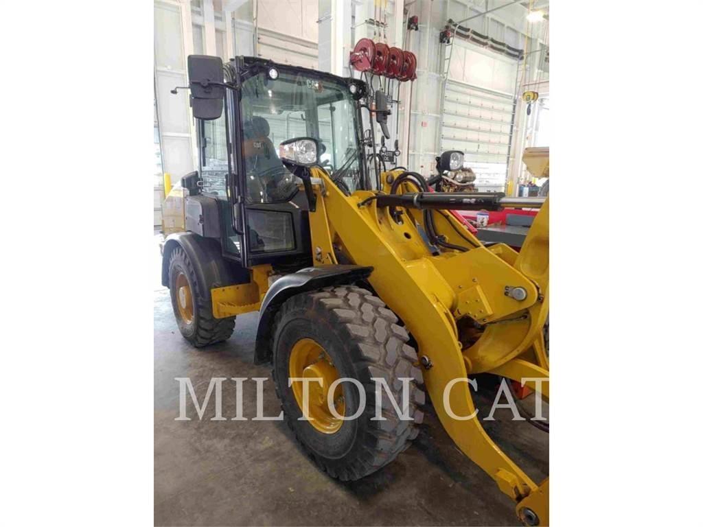 CAT 906 Pale gommate