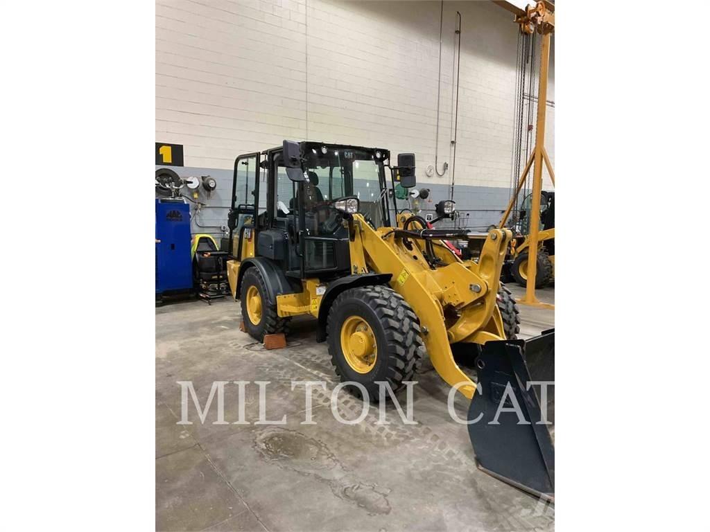 CAT 906 Pale gommate