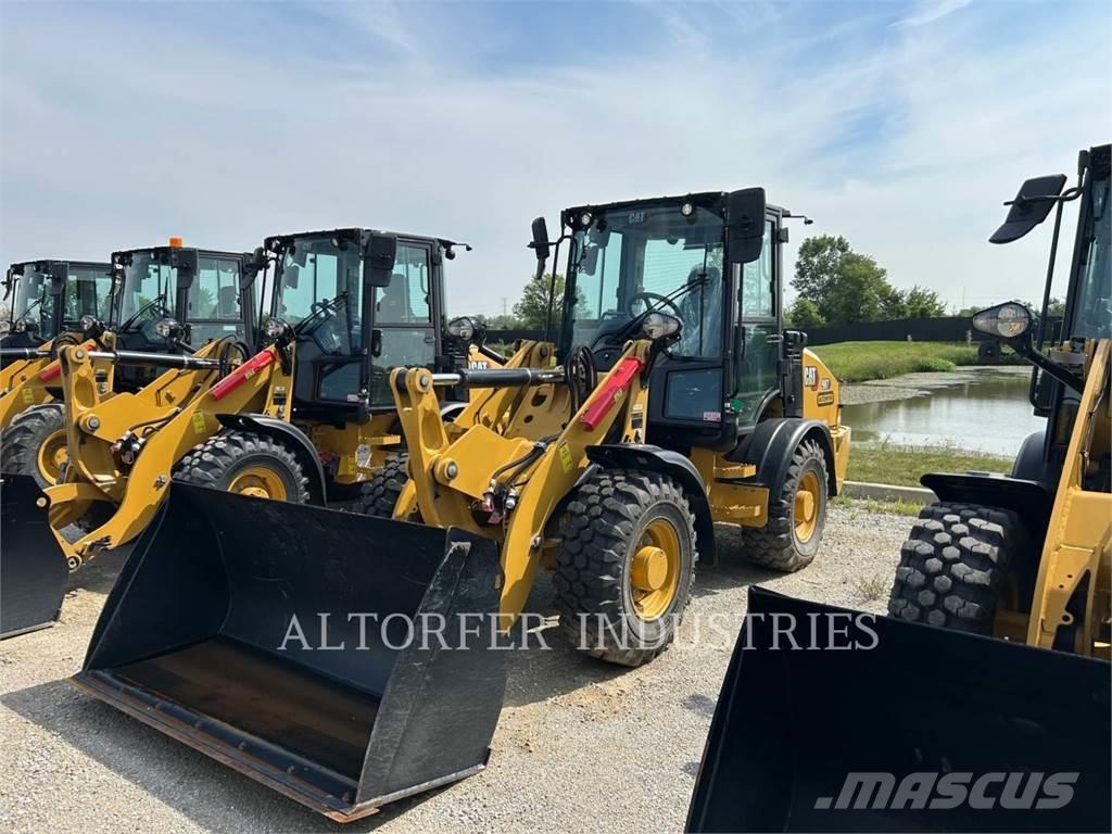 CAT 907-14 Pale gommate