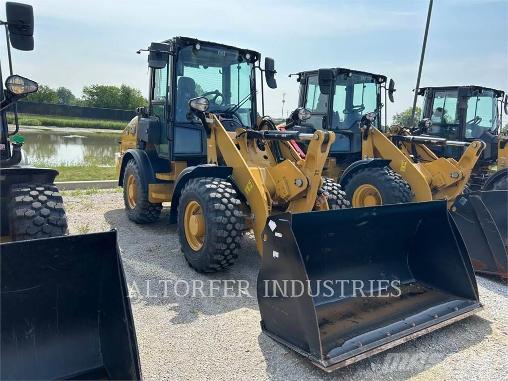 CAT 907-14 Pale gommate