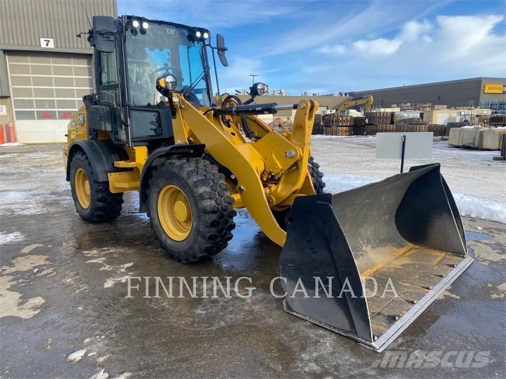 CAT 908-14 Pale gommate