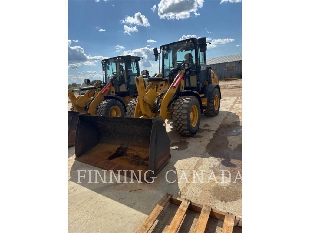 CAT 908-14 Pale gommate