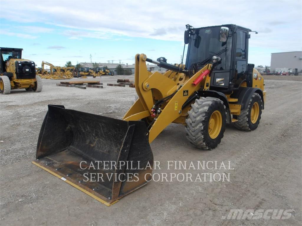 CAT 908-14 Pale gommate