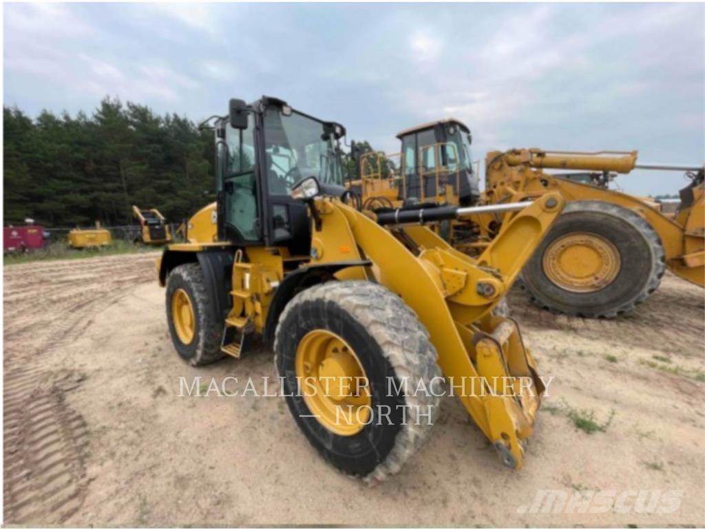 CAT 91414 Pale gommate