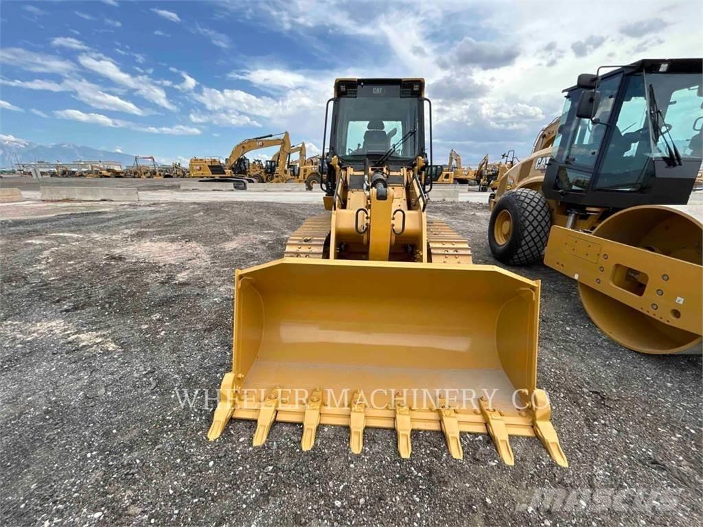 CAT 953 Pale cingolate