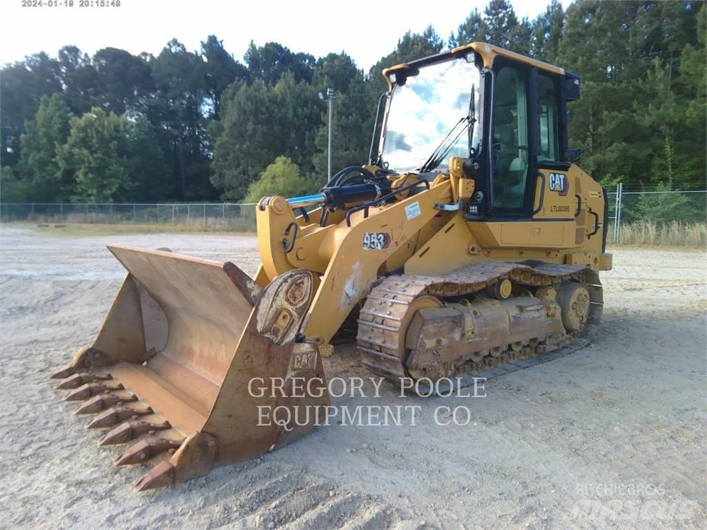 CAT 95312 Pale cingolate