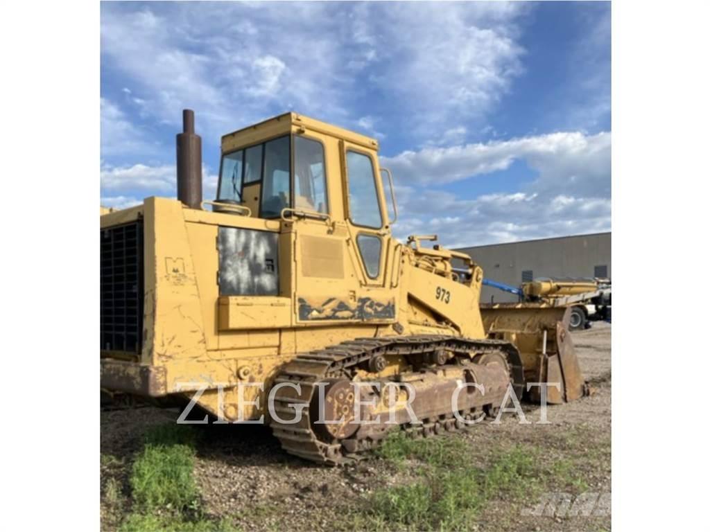 CAT 973 Pale cingolate