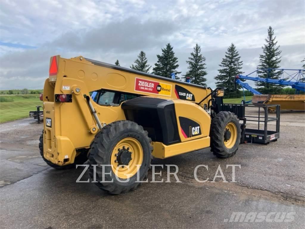 CAT TL642D Sollevatori telescopici
