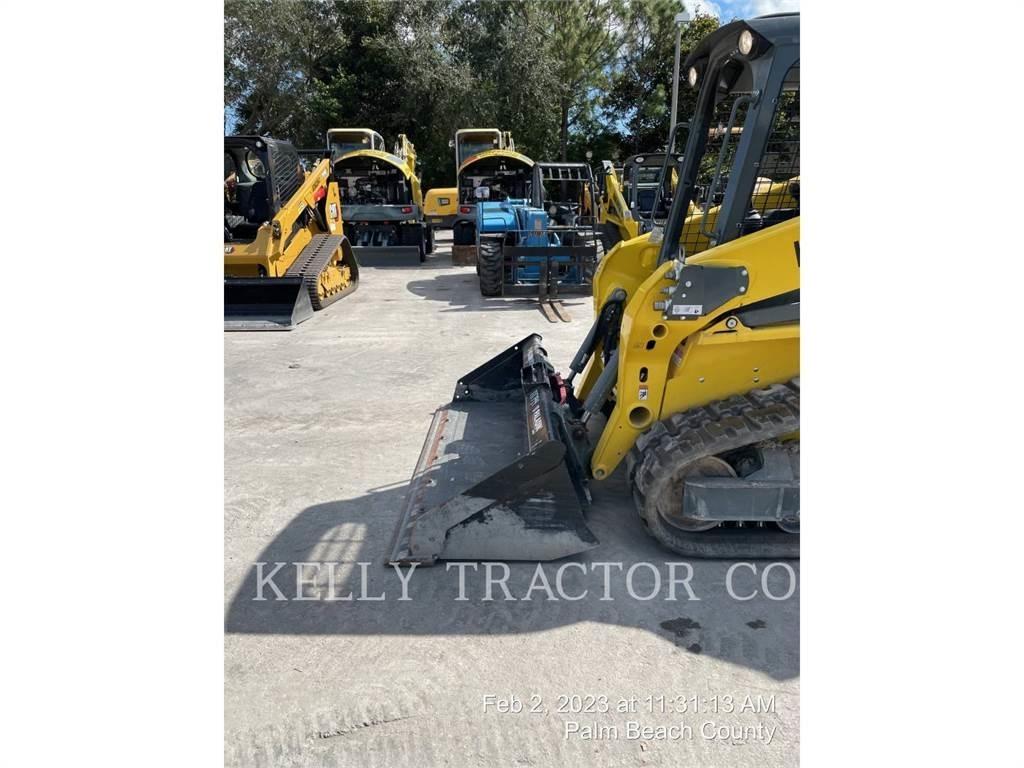 Wacker ST31 Pale cingolate