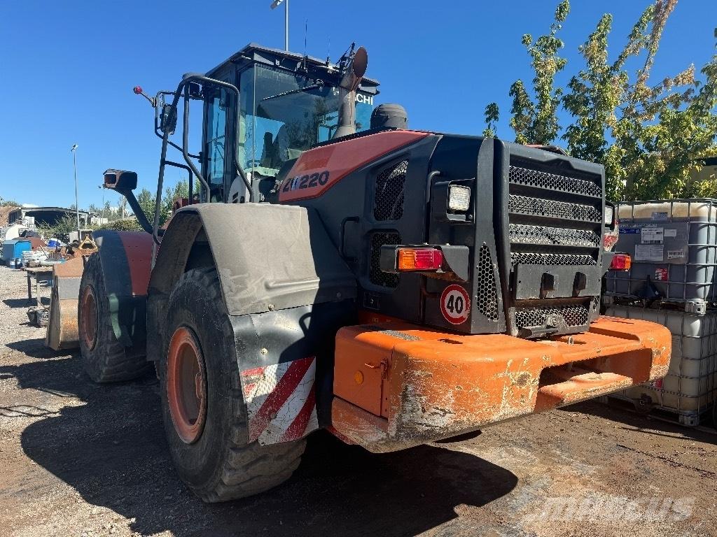 Hitachi ZW 220-3 Pale gommate